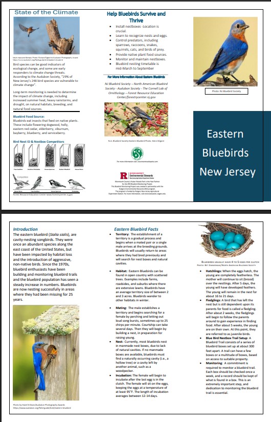 A brochure on how to help bluebirds survive and thrive.