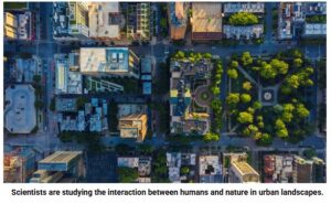 Aerial view of a city with a garden and trees.