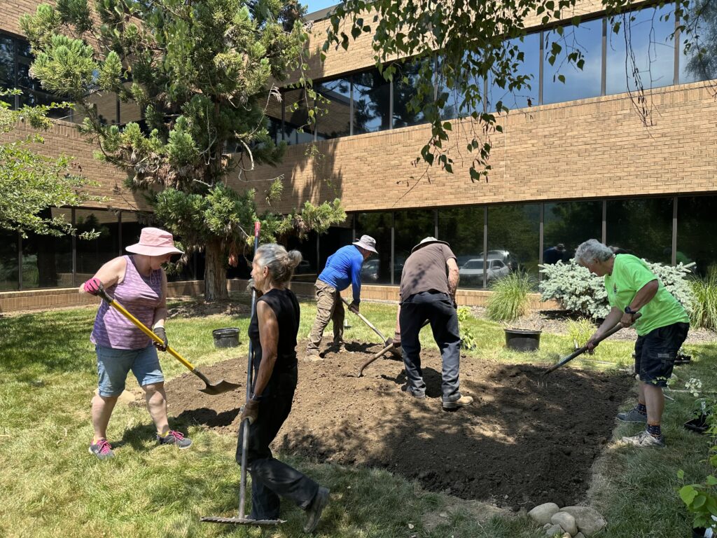 Volunteers digging a garden bed.