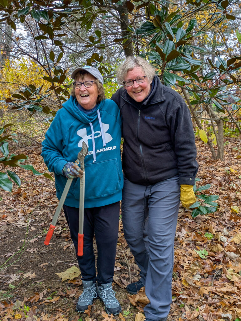 Two volunteers working in the woods 